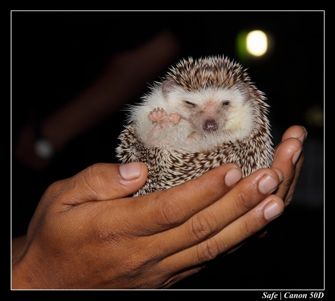 2009   08   Putrajaya 094
